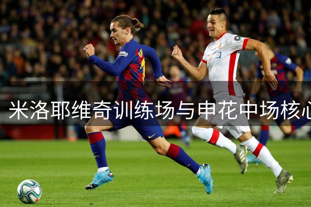 米洛耶维奇训练场与申花中场核心热聊